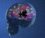Study provides a new target for therapeutic intervention in Parkinson's disease
