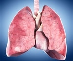 Inhaled microplastics suppress pulmonary macrophages critical to the immune system