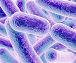 New anti-aging compounds found hidden beneath the skin