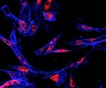 Cancer survivor population in the US expected to surpass 22 million by 2035