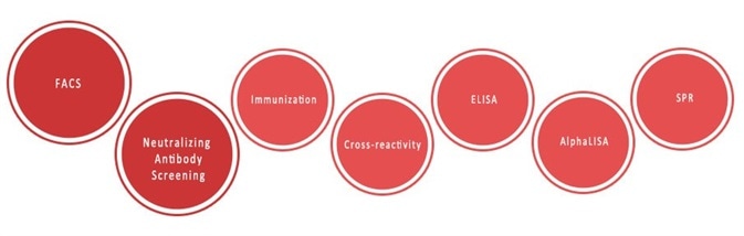Immune Checkpoint Protein Testing