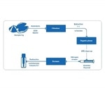 Using Analytical Techniques to Follow Standards for Seafood Safety