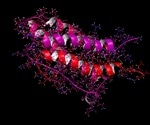 Characterizing Intrinsically Disordered Proteins with NMR