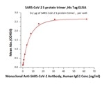 COVID-19 Vaccines: Safety and Efficacy Evaluation
