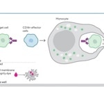 Advanced flow cytometry in infectious disease research