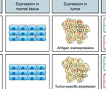 How Tecelra® approval is transforming TCR-T cell therapy
