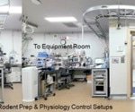 Advancing brain physiology and function measurements with UHF MRI techniques