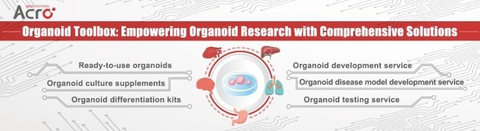 Brain organoids to reach new neurological disease frontiers