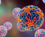 Study shows dengue virus can lower sperm production in men