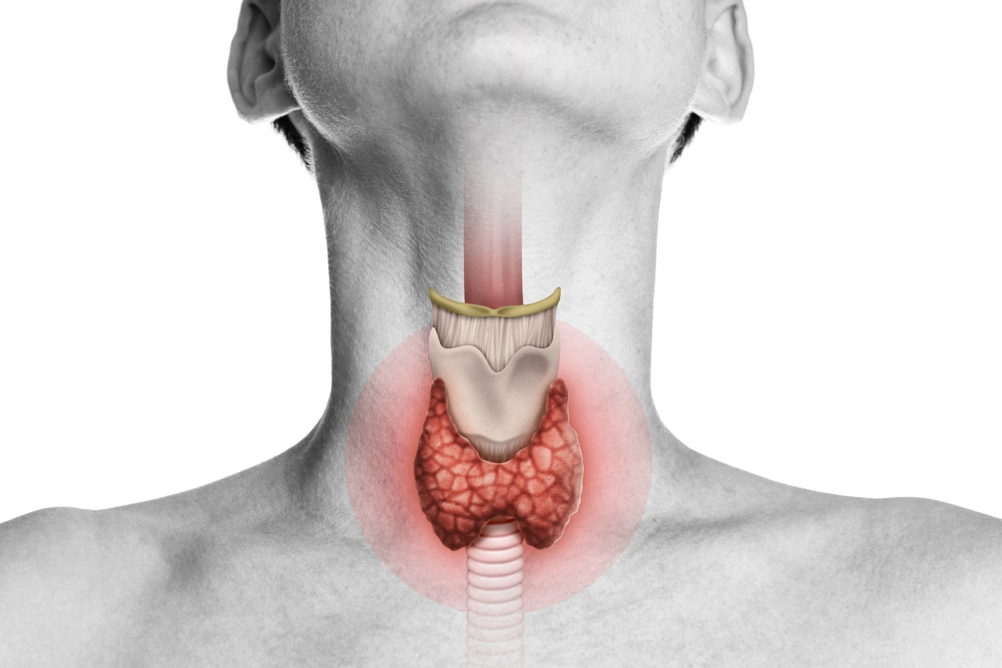 Study: Associations between age at natural menopause and risk of hypothyroidism among postmenopausal women from the Canadian Longitudinal Study on Aging (CLSA). Image Credit: SvetaZi / Shutterstock